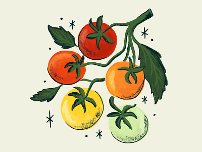 Tomatoesss 🍅 fruit illustration procreate retro summer tomato veggie