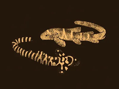 Indo-Pacific Leopard Sharks animal coral reef creature endangered species ilustration indo pacific indonesia juvenile leopard leopard shark nature ocean pacific pup sea shark tropical fish two color wildlife zebra shark