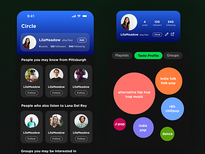 Spotify/LinkedIn Mashup App linkedin mashup social app spotify ui visual