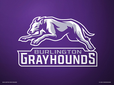 Burlington Greyhound Logo | Sports Logo branding burlington dasedesigns grayhound greyhound greyhounds identity illustration logo design mascot mascot logo purple sports sports design sports logo vintage