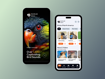BirdCall Bliss app app design bird sounds design ui ux