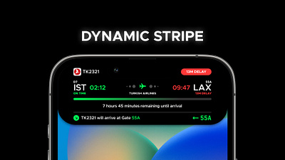 iOS Dynamic Stripe ios ui