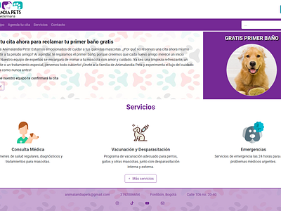 Veterinaria(web) design responsive ux webdesign webpage