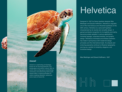 Hawaii, Helvetica adobe branding design dribbble figma font graphics hawaii hello dribbble helvetica illustration illustrator logo magazine photoshop presentation typeface typography ui