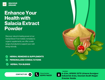 Enhance Your Health with Salacia Extract Powder salacia extract powder