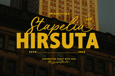 Stapelia Hirsuta - Sans with Handwritten Script (Font Duo) artistic font branding creative font display font display typeface fontduo freehand handwrittenscript sansserif typography