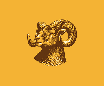 Shiner Bock - Ram Illustration animal beer branding brewery design drawing goat graphic design illustration ram sheep vintage