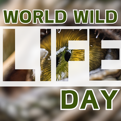 World wildlife day, letter frame branding graphic design