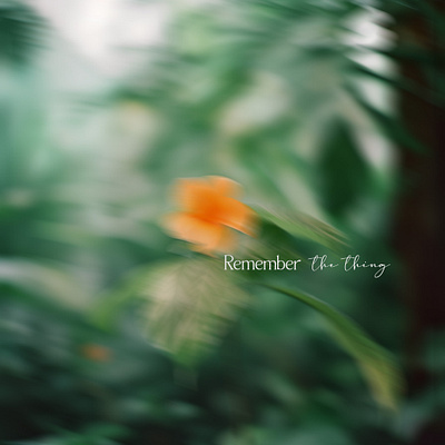 Remember – Album cover