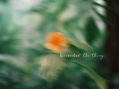 Remember – Album cover