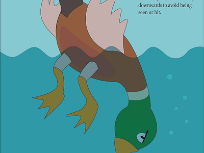 "Duck" - Homograph Poster design graphic design illustration illustrator