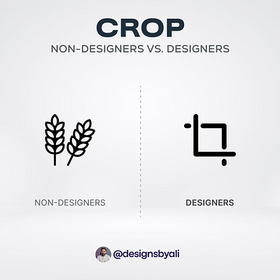 How Designer vs Non-Designers see CROP uidesign