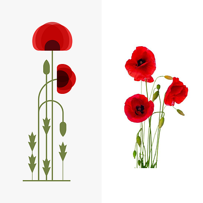 Papaver rhoeas 2d creative design floral illustrate illustration