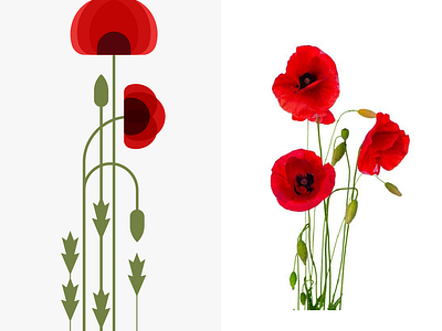 Papaver rhoeas 2d creative design floral illustrate illustration