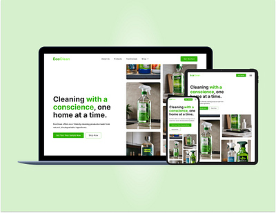 EcoClean Case Study ui