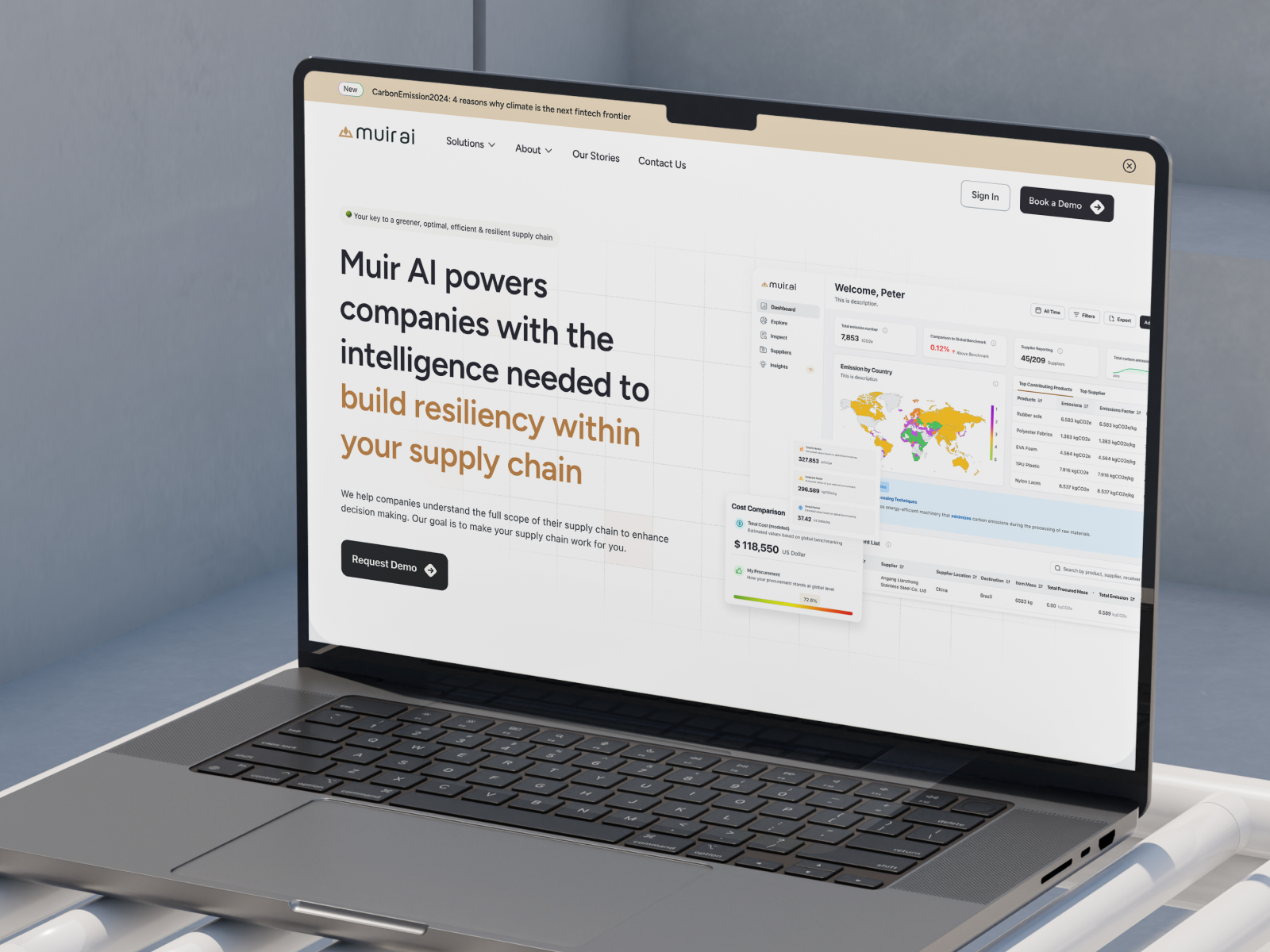 Example of Web Development (No Code + Frontend)