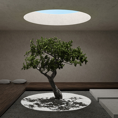 Zen Garden zen3d