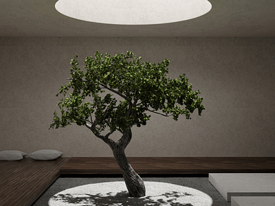 Zen Garden zen3d