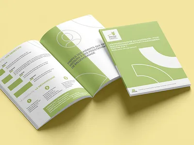 Rapport d'étude - Baluchon France design illustrator mise en page powerpoint rapport