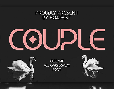 Couple - Classy Sans Serif Font branding design font handwritten illustration italic logotype script typeface ui