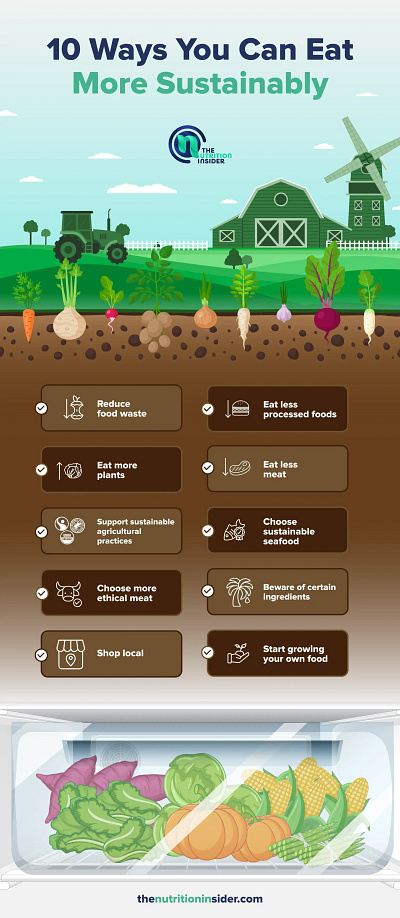 Sustainable Eating Infographic ecologic ecology illustration infographic sustainability sustainable eating