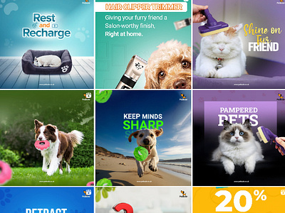 Petbuds (Social Media Creatives) creatives instagram posts pet pet creatives pets posters social media social media creatives social media design social media posts socialmedia banner