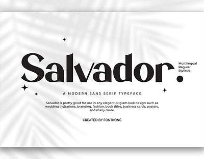 Salvador - Modern Classy Sans Serif Font branding design font handwritten illustration italic logotype script typeface ui