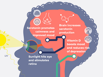 Sunlight and Mental Health Infographic education explanation graphic design illustration infographic mental health mood serotonin sunlight vitamin d