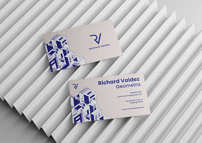 Business Card branding business card concept design graphic design illustration logo print