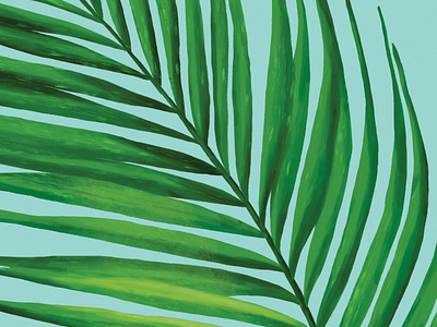 Painterly Coconut Palm Leaf botanical botanical illustration digital illustration digital painting drawing fern green illustration jungle leaf packaging painterly painting palm plant plant illustration plants tropical