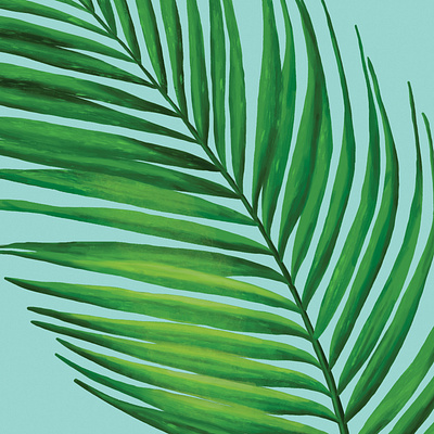 Painterly Coconut Palm Leaf botanical botanical illustration digital illustration digital painting drawing fern green illustration jungle leaf packaging painterly painting palm plant plant illustration plants tropical