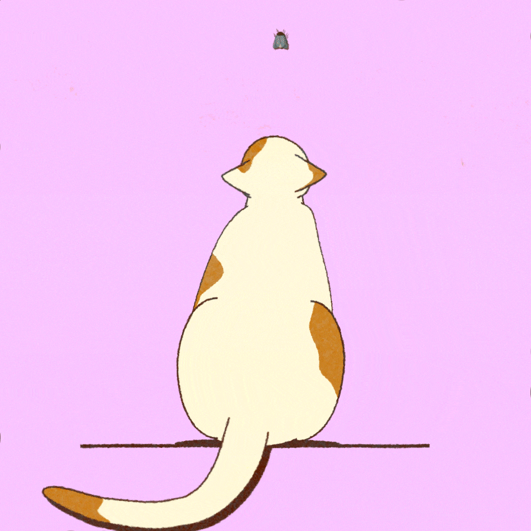 A Cat & A Mysterious Bug 2d 2d animation animated gif animation anime bug cat cute illustration loop animation