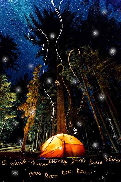 Camping Goals campingart campinggoals digitalart digitalillustration doodleart doodleillustration illustration photodoodle procreateart