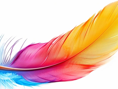 Colorful Feather Clipart feather feather clipart feather design feather image feather picture imagella