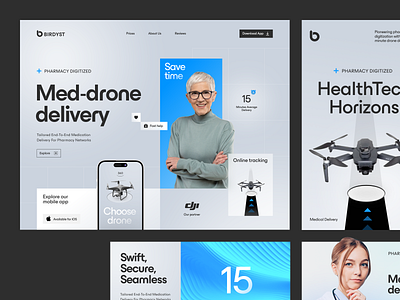 Birdyst UI-UX design interface product service startup ui ux web website