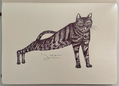 Ballpen Cat 🐈‍⬛ ballpen cat cats design drawing illustration sketch