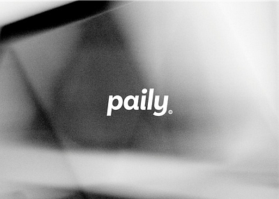 Paily – Brand Identity brand branding design finance financial graphic design logo