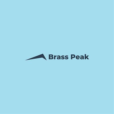 Brass Peak Logo Design brand identity branding business owners dailylogochallenge dailylogochallenge8 graphic designer logo design logo designer