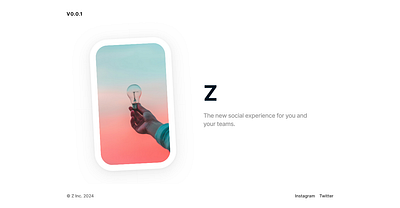 Z Hero Page branding graphic design logo ui