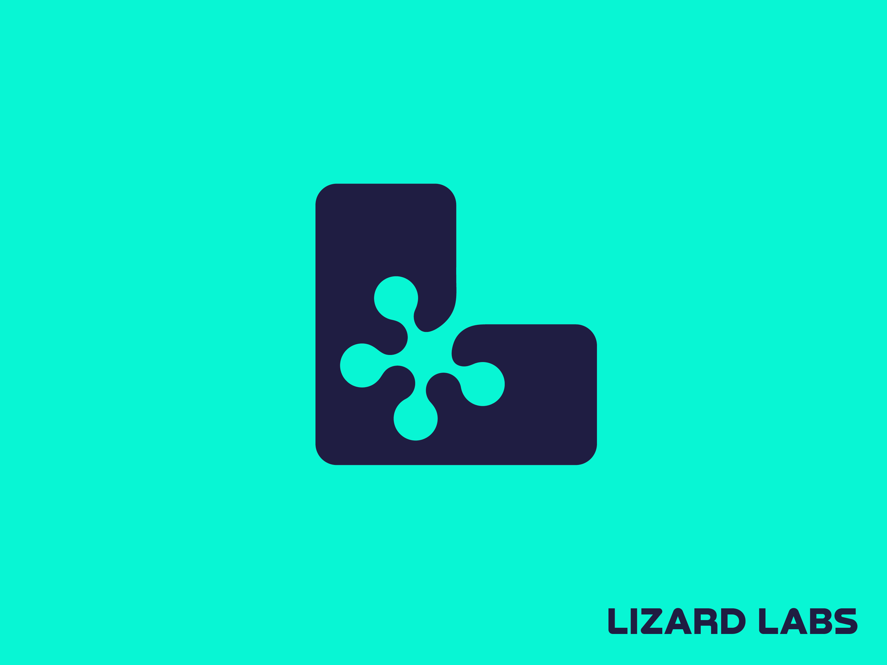 Lizard Labs logo design by Vadim Carazan on Dribbble, image size:3000x2250