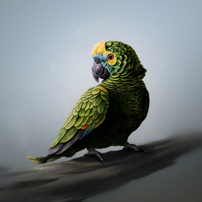Digital Painting - Blue-Fronted Amazon animal bird clip studio paint digital digital painting painting