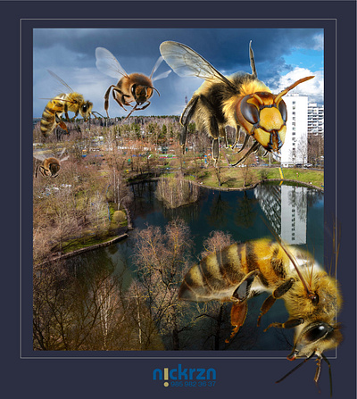 the hornet flies towards the summer art design graphic design illustration