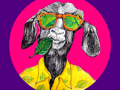 Goat Life chilling drawing eating goat goat life leaf leaves pen drawing pink retro summer sun glass yellow