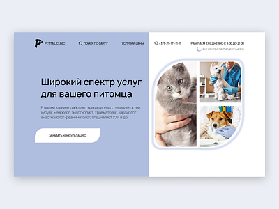Veterinary clinic website design concept animal clinic concept design ui ux uxui design website
