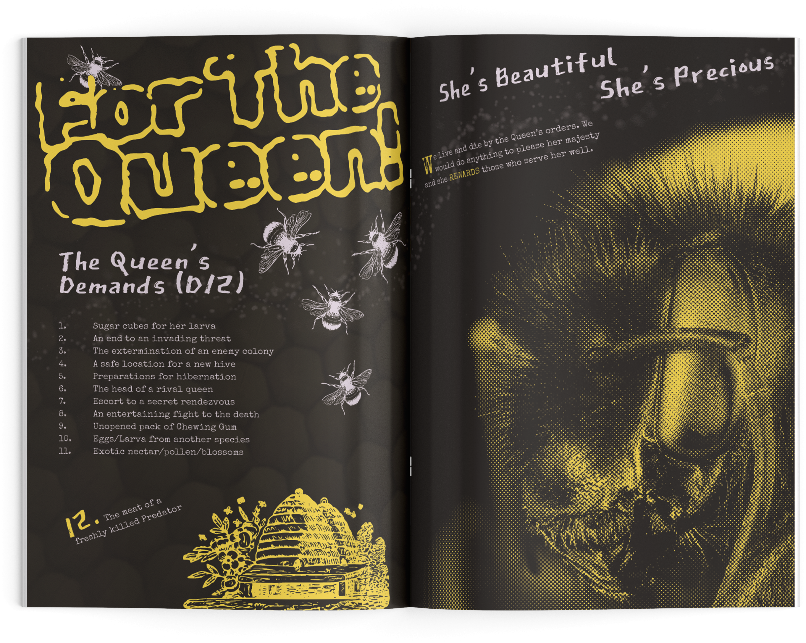 Bug Borg RPG Zine mockup print design