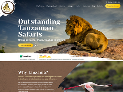 Unique Safaris graphic design ui website design