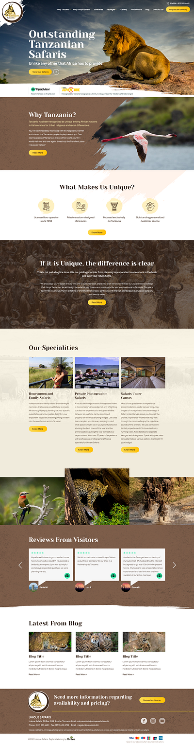 Unique Safaris graphic design ui website design