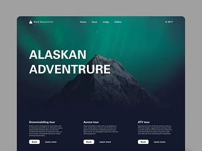 Alaskan Adventure Website adventure alaska aurora northern lights ui ui design uidesign uiux uiux design uiuxdesign web design webdesign website website design wesitedesign