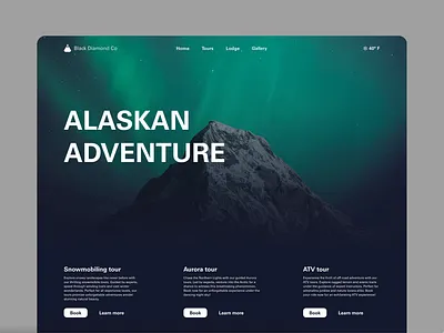 Alaskan Adventure Website adventure alaska aurora northern lights ui ui design uidesign uiux uiux design uiuxdesign web design webdesign website website design wesitedesign