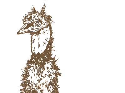 Bonnie the Emu graphic design illustration